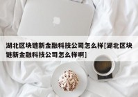 湖北区块链新金融科技公司怎么样[湖北区块链新金融科技公司怎么样啊]